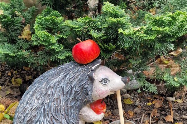 IMG-20251026-WA0013 – kópia